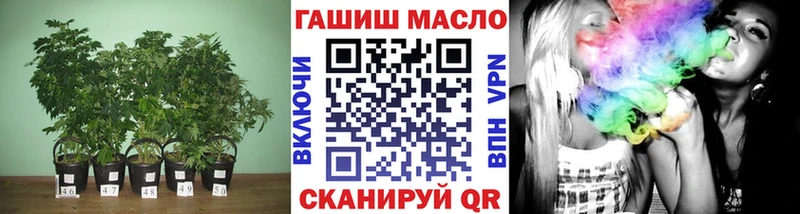 Купить  Сокол  Дистиллят ТГК гашишное масло 