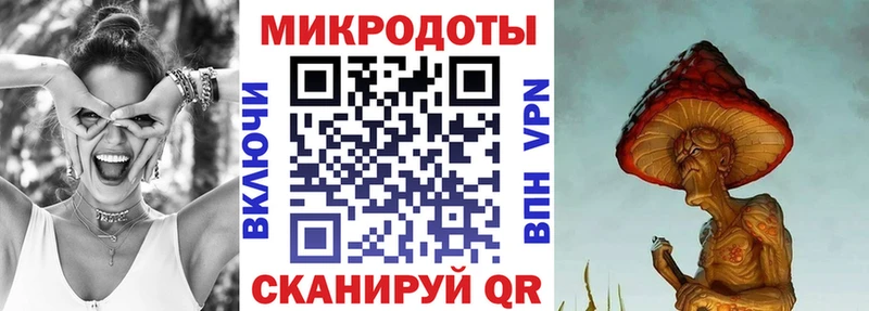Псилоцибиновые грибы Psilocybine cubensis  Купить где  Сокол 